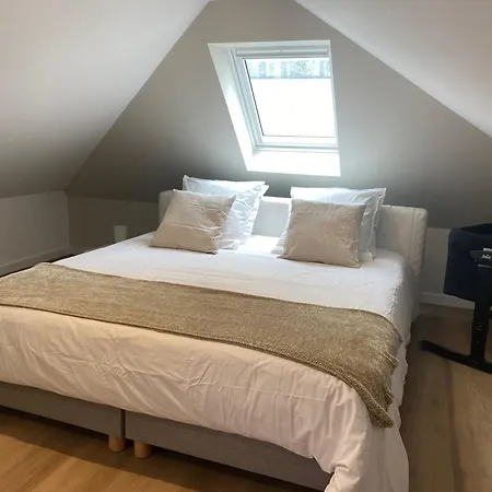 Villa Les Orchidees Elegante Maison Quartier Saint Marc Brest